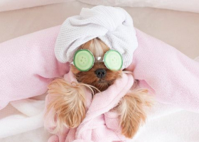 8 Self Care Items To Show Yourself Some Love This Week